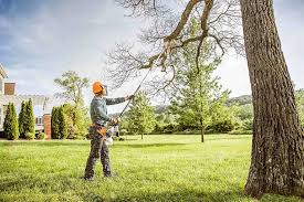 Landscape Design and Installation in Luxemburg, WI